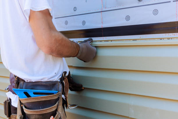 Best Vinyl Siding Installation  in Cut Bank, MT